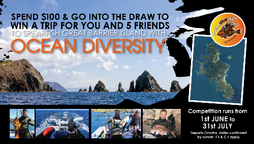 HOME PAGE win a trip oceandiversity-771